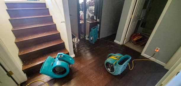 Best Ceiling water damage repair  in Eden, TX