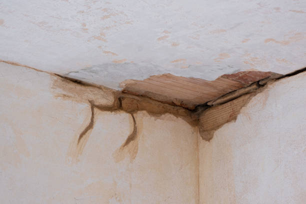 Water damage restoration experts in Eden, TX