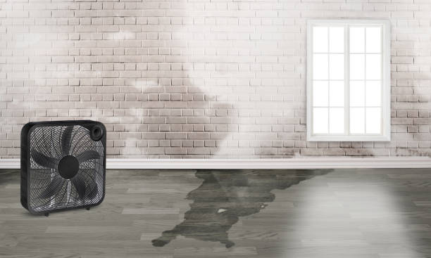 Best Fire Damage Restoration  in Eden, TX