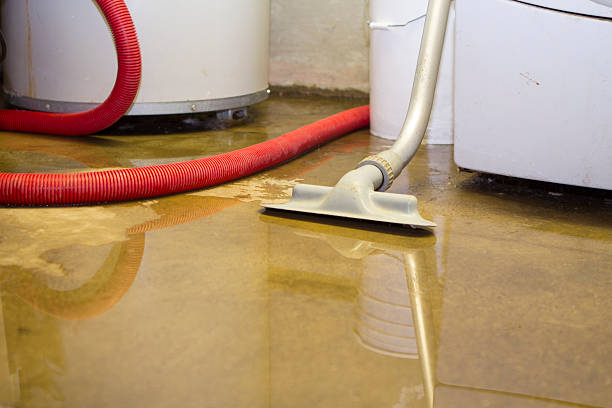 Best 24-hour water damage restoration  in Eden, TX