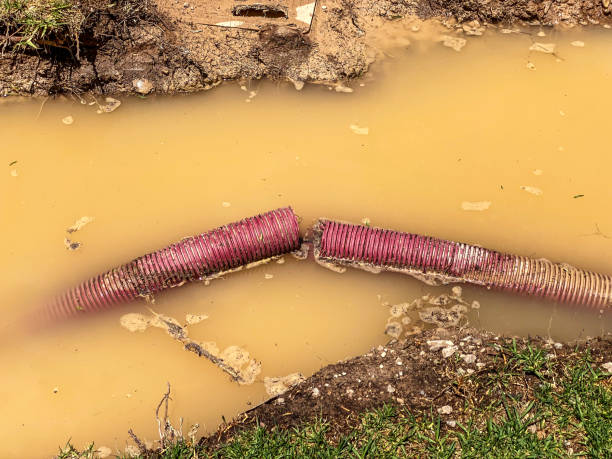 Best Flood restoration services  in Eden, TX