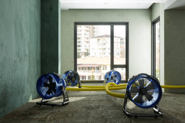 Best Residential water damage restoration  in Eden, TX